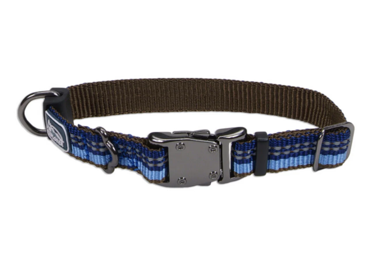 Coastal K9 Explorer Reflective Dog Collar - Image 9