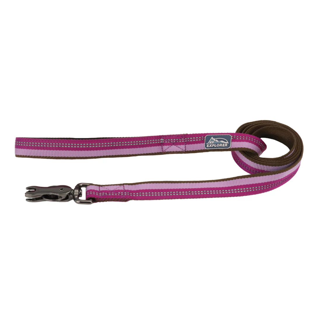 Coastal K9 Explorer Reflective Dog Leash - Image 2