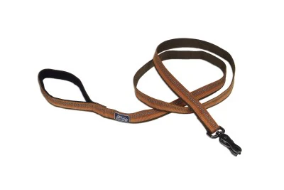 Coastal K9 Explorer Reflective Dog Leash - Image 3