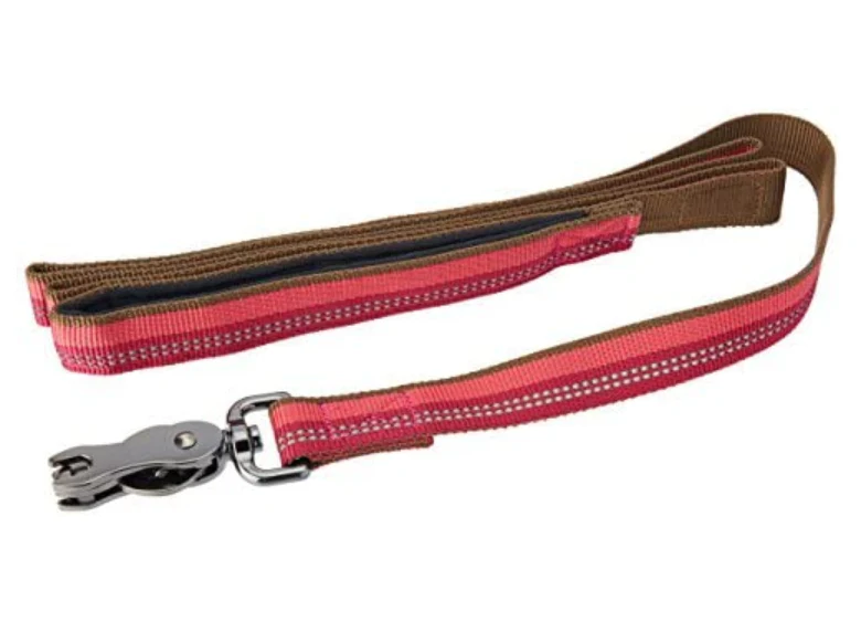 Coastal K9 Explorer Reflective Dog Leash - Image 4