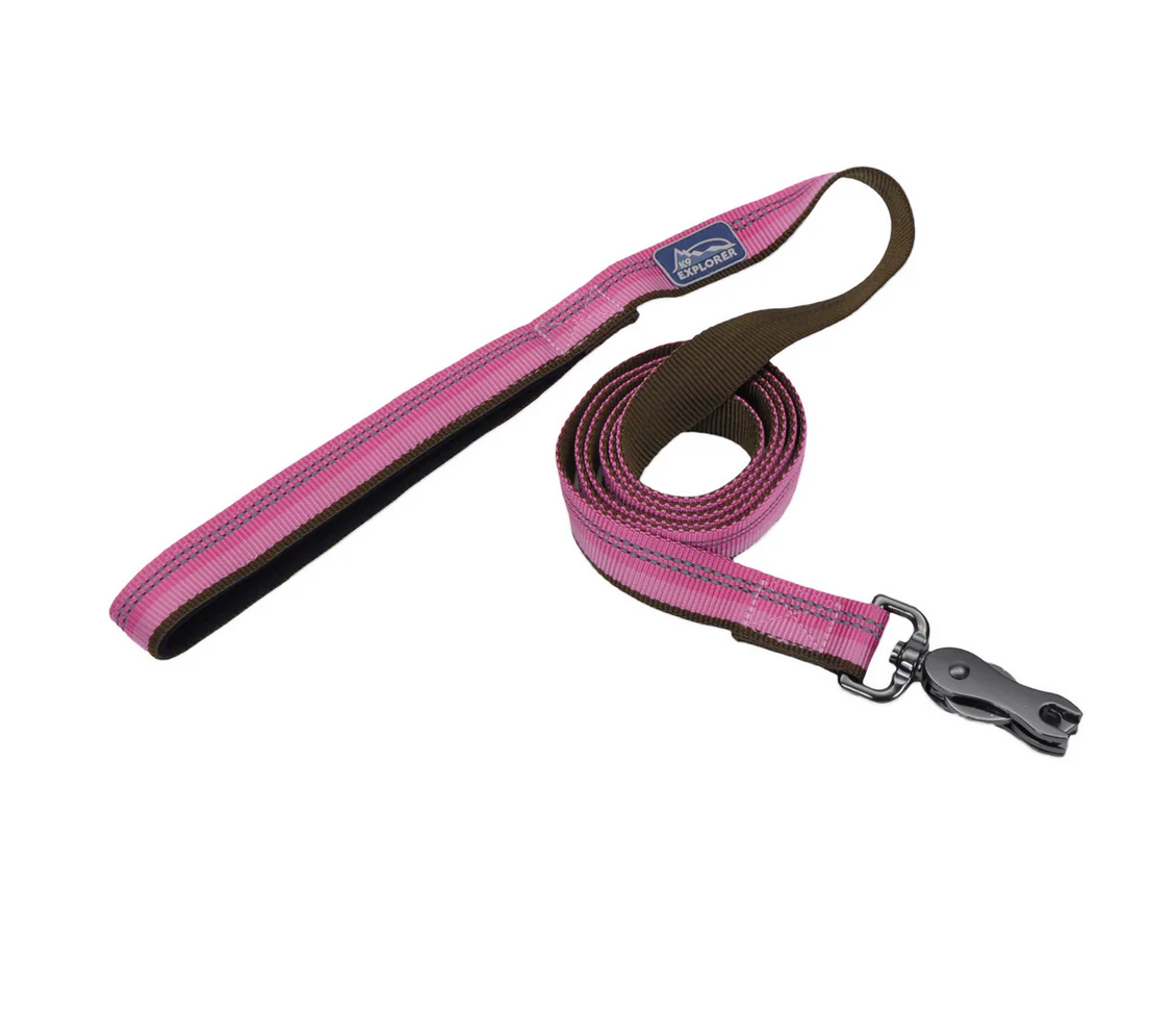 Coastal K9 Explorer Reflective Dog Leash - Image 6