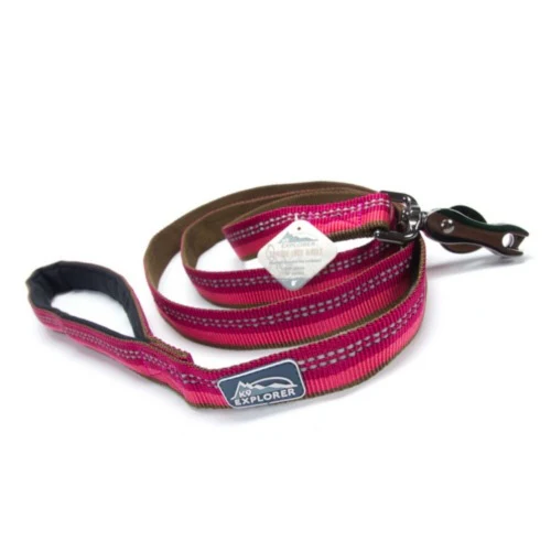 Coastal K9 Explorer Reflective Dog Leash - Image 8
