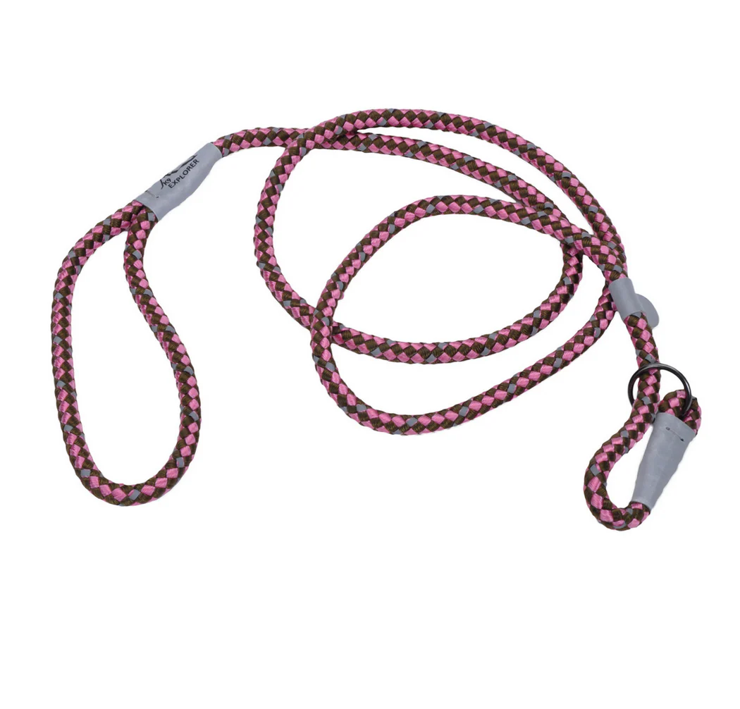 Coastal K9 Explorer Reflective Rope Slip Leash - Image 4