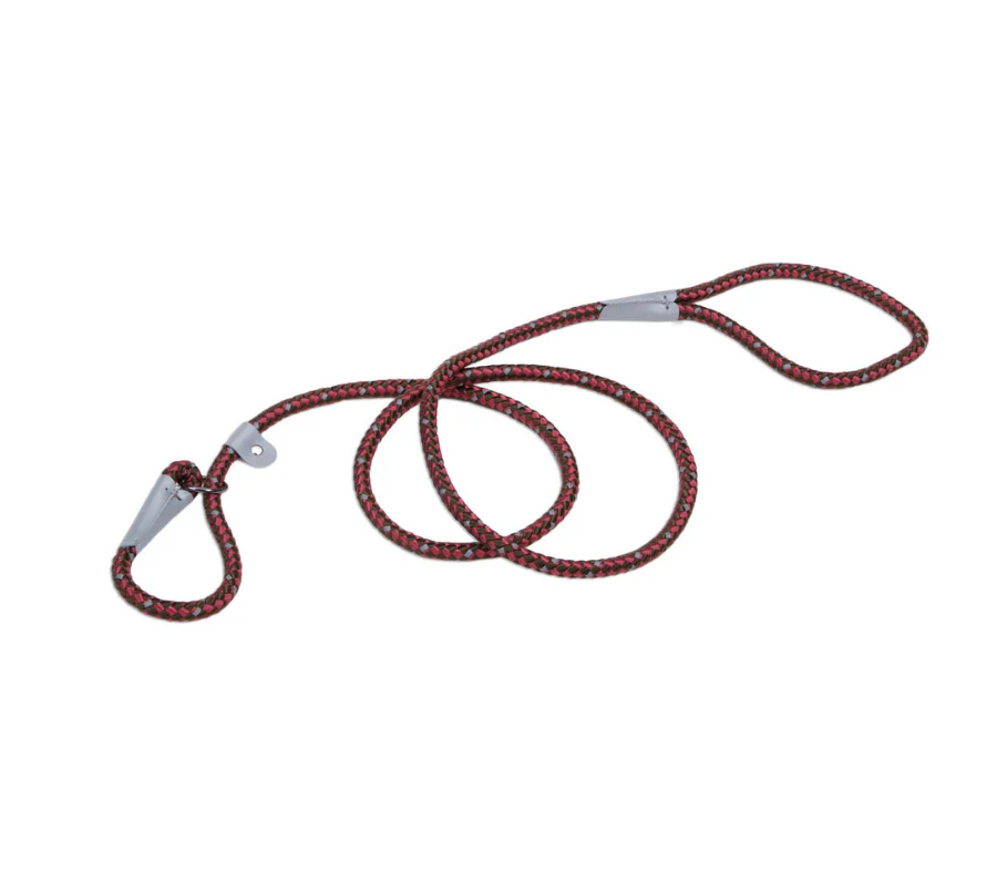 Coastal K9 Explorer Reflective Rope Slip Leash - Image 7