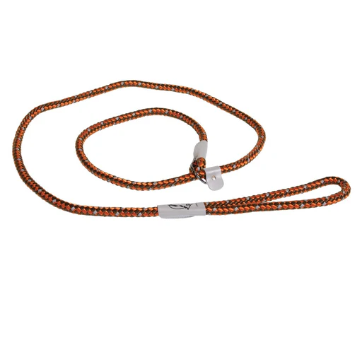 Coastal K9 Explorer Reflective Rope Slip Leash - Image 8
