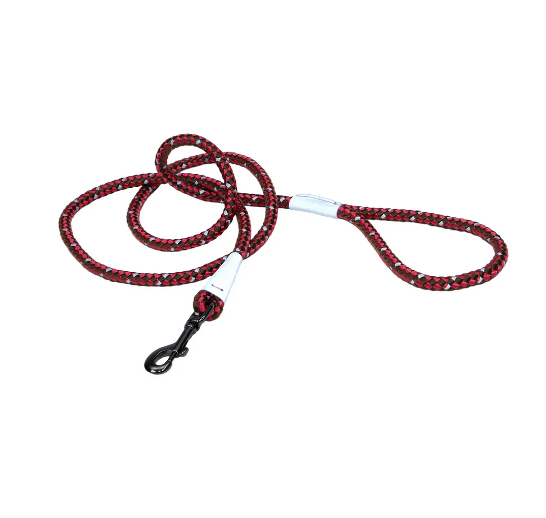 Coastal K9 Explorer Reflective Rope Snap Leash - Image 6