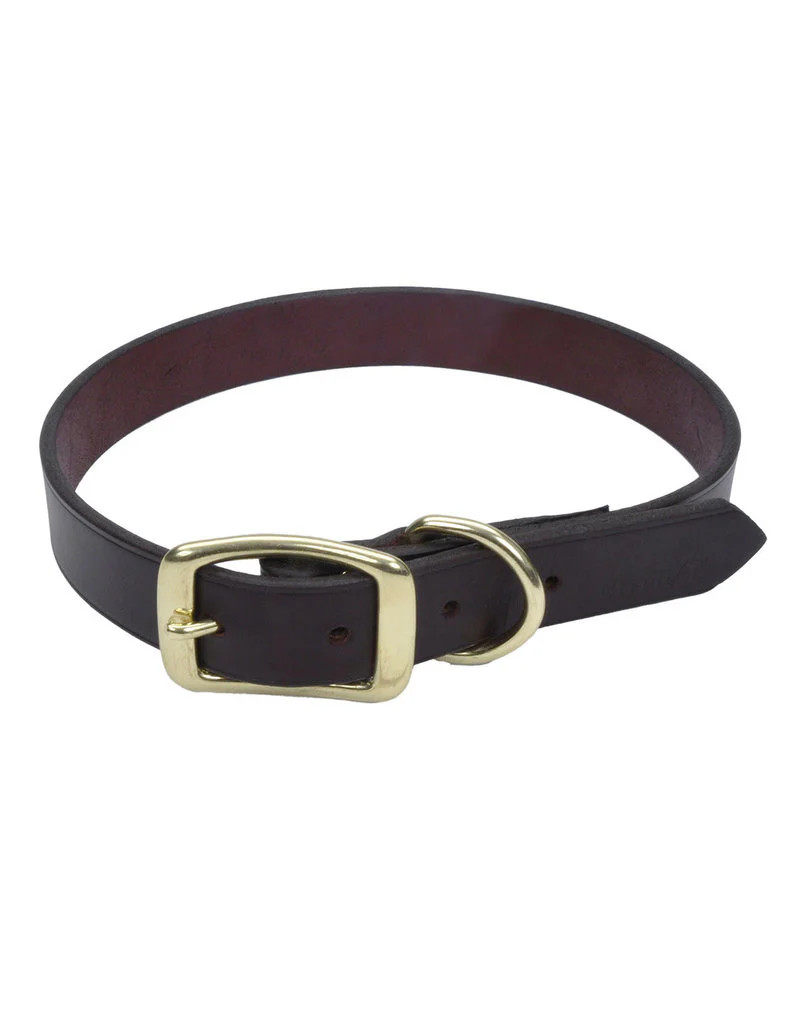 Coastal Latigo Brown Leather With Brass - Image 19