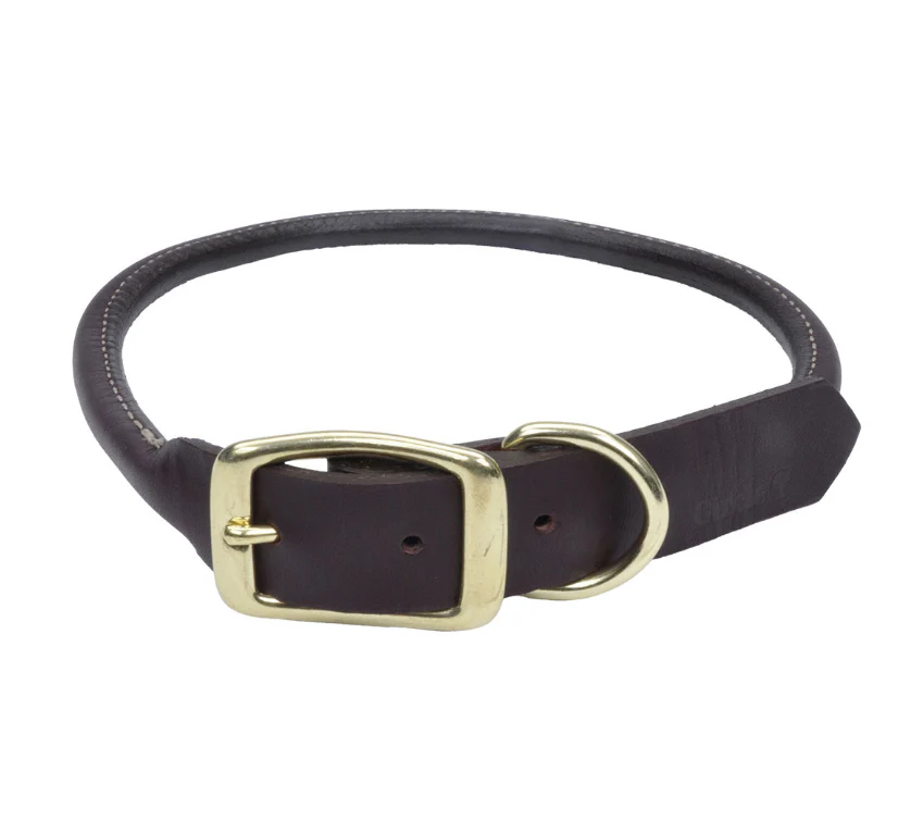 Coastal Latigo Brown Leather With Brass - Image 5