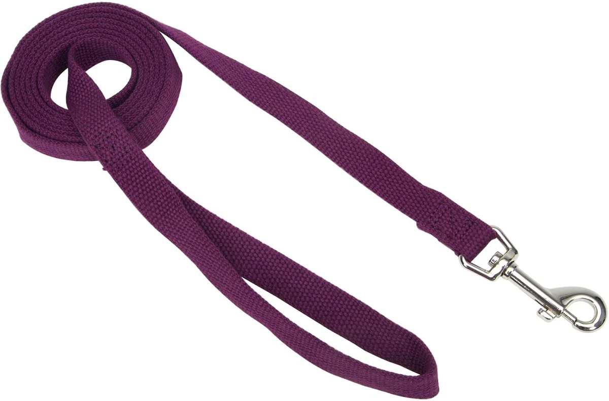 Coastal Soy Leash - Image 5