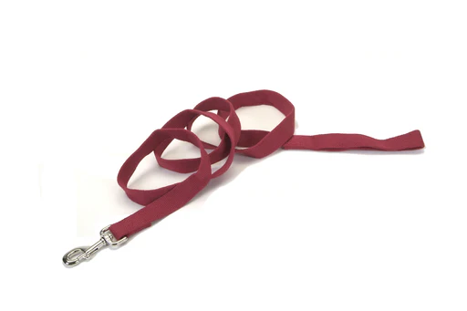 Coastal Soy Leash - Image 6