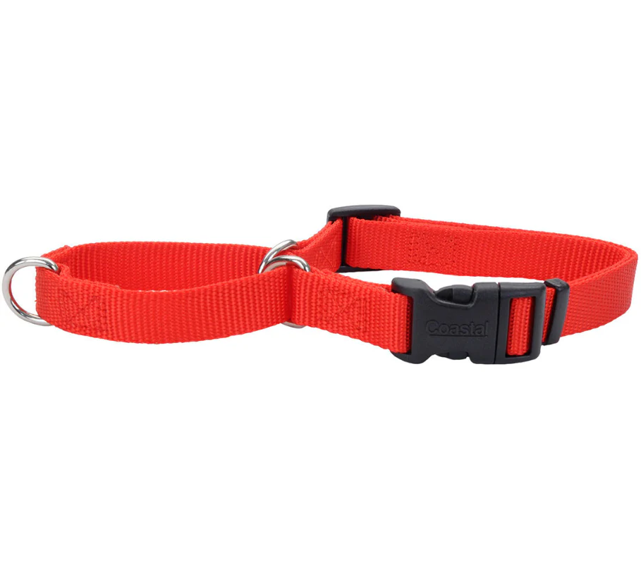Coastal No-Slip Martingale Collar with Buckle - Image 9