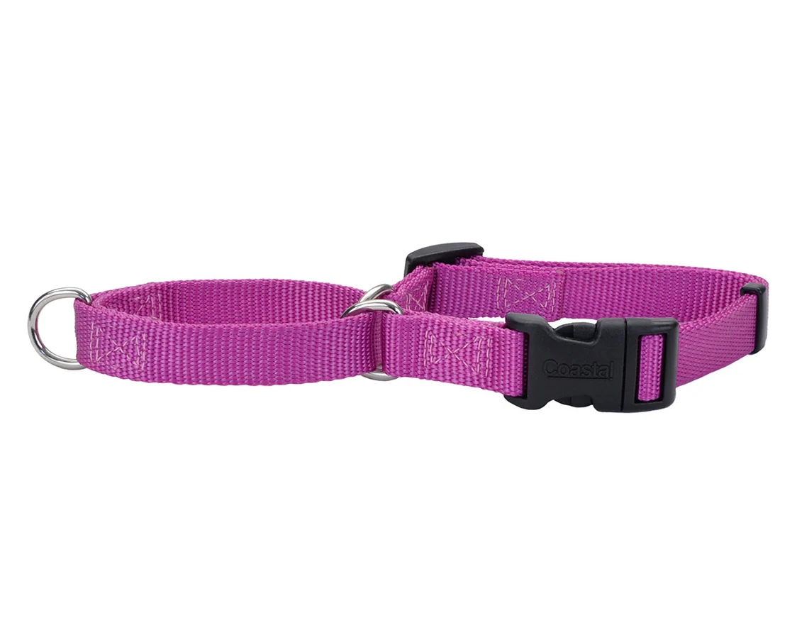 Coastal No-Slip Martingale Collar with Buckle - Image 2