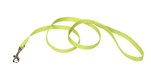 Coastal Single-Ply Nylon Leash - Image 11