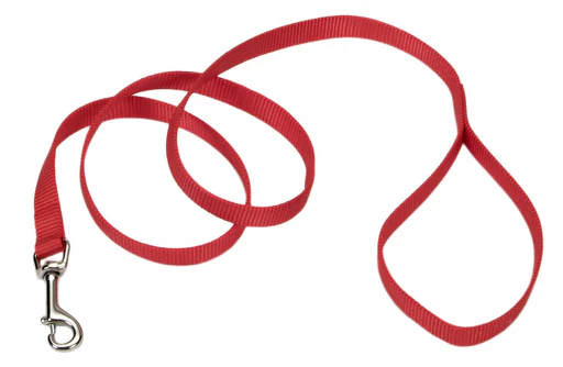 Coastal Single-Ply Nylon Leash - Image 19