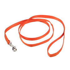 Coastal Single-Ply Nylon Leash - Image 22