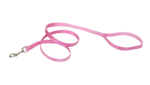 Coastal Single-Ply Nylon Leash - Image 23