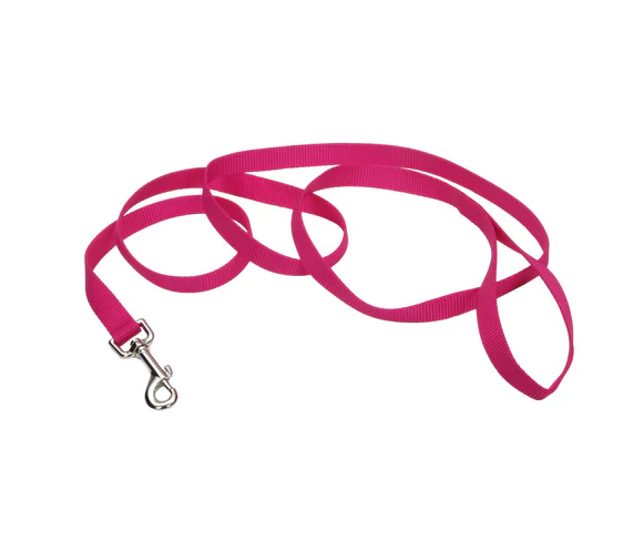 Coastal Single-Ply Nylon Leash - Image 4