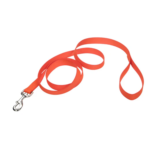 Coastal Single-Ply Nylon Leash - Image 7