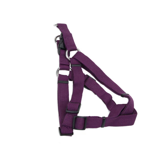 Coastal Soy Comfort Wrap Adjustable Dog Harness - Image 39