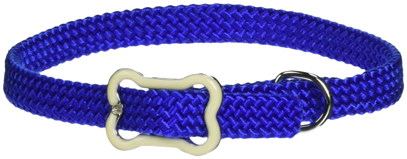 Coastal Sunburst Dog Collar with Bone Buckle - Image 2