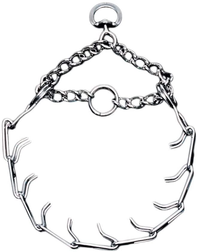 Coastal Titan Prong Collar - Image 4