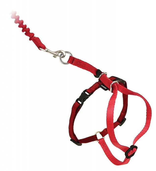 Come With Me Kitty Harness - Image 10