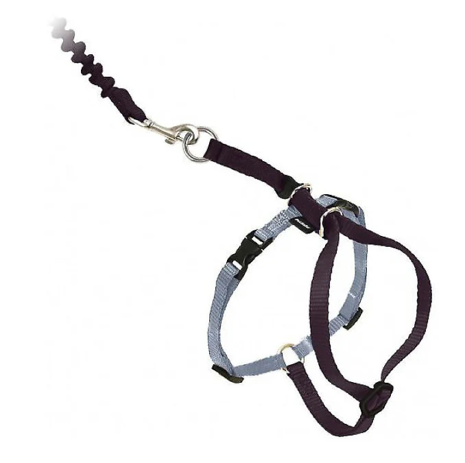 Come With Me Kitty Harness - Image 11