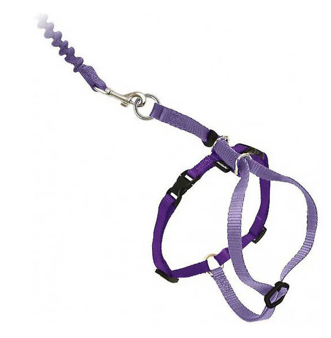Come With Me Kitty Harness - Image 13