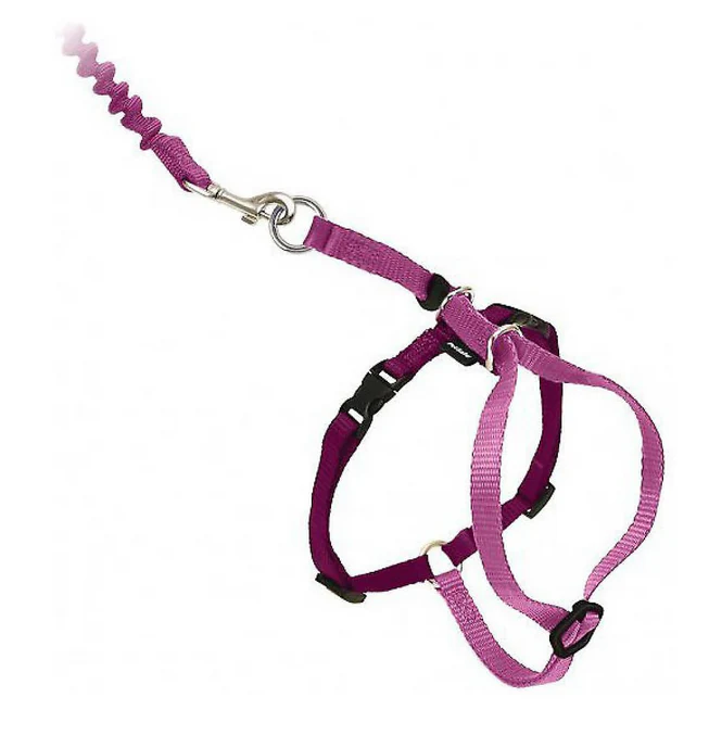 Come With Me Kitty Harness - Image 4