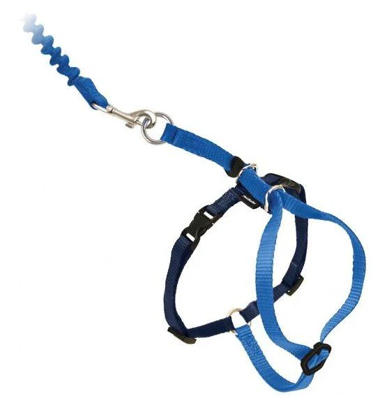 Come With Me Kitty Harness - Image 7