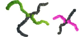 Cycle Dog Fuzzies Springy Thing - Image 5