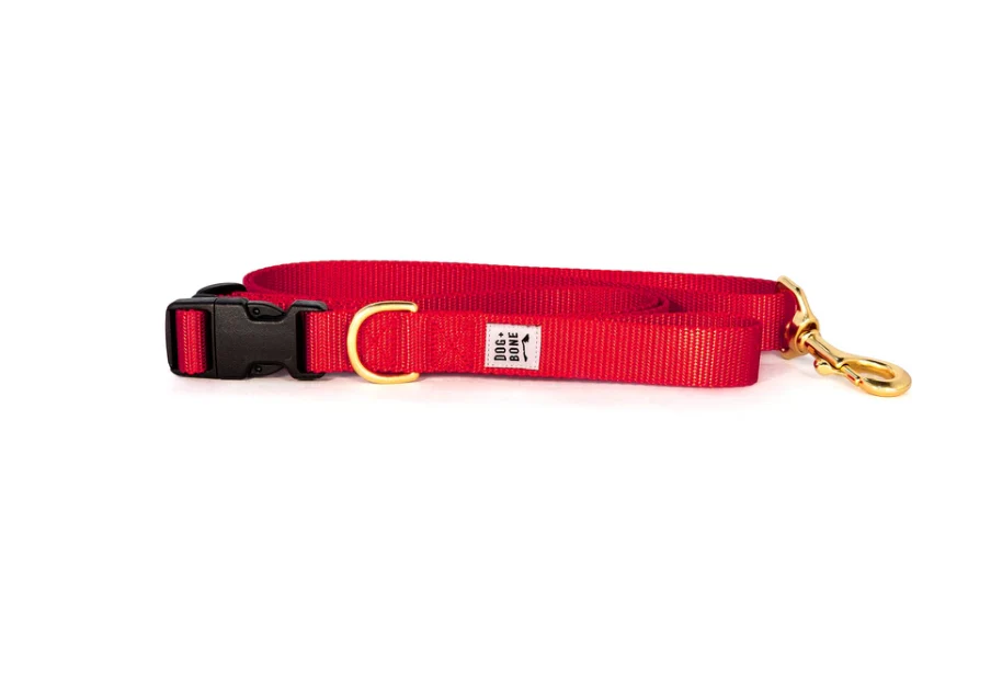 Dog + Bone Adjustable Leash - Image 12