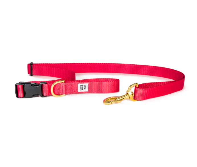 Dog + Bone Adjustable Leash - Image 19