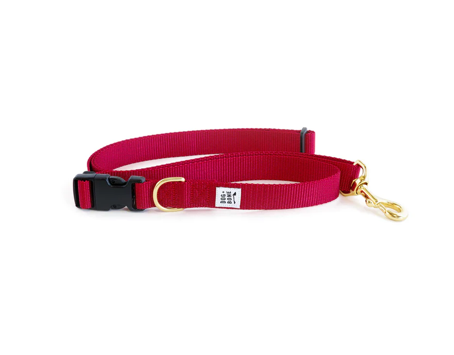 Dog + Bone Adjustable Leash - Image 2