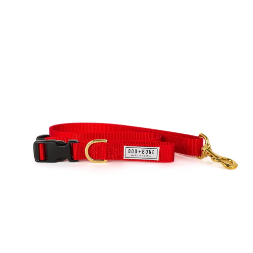 Dog + Bone Adjustable Leash - Image 38
