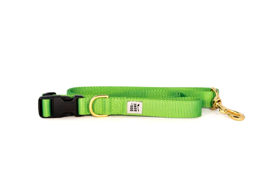 Dog + Bone Adjustable Leash - Image 4