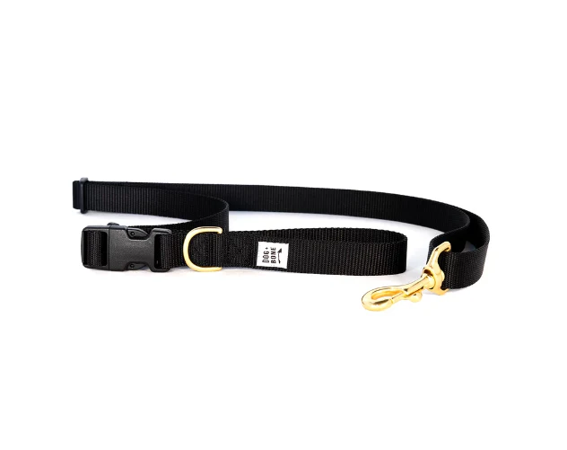Dog + Bone Adjustable Leash - Image 40