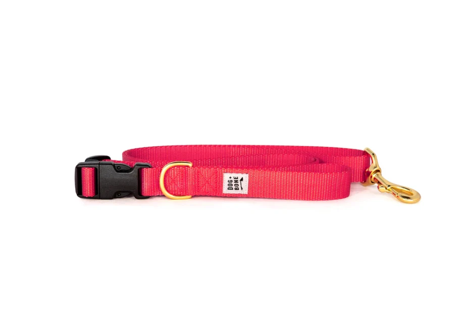 Dog + Bone Adjustable Leash - Image 5
