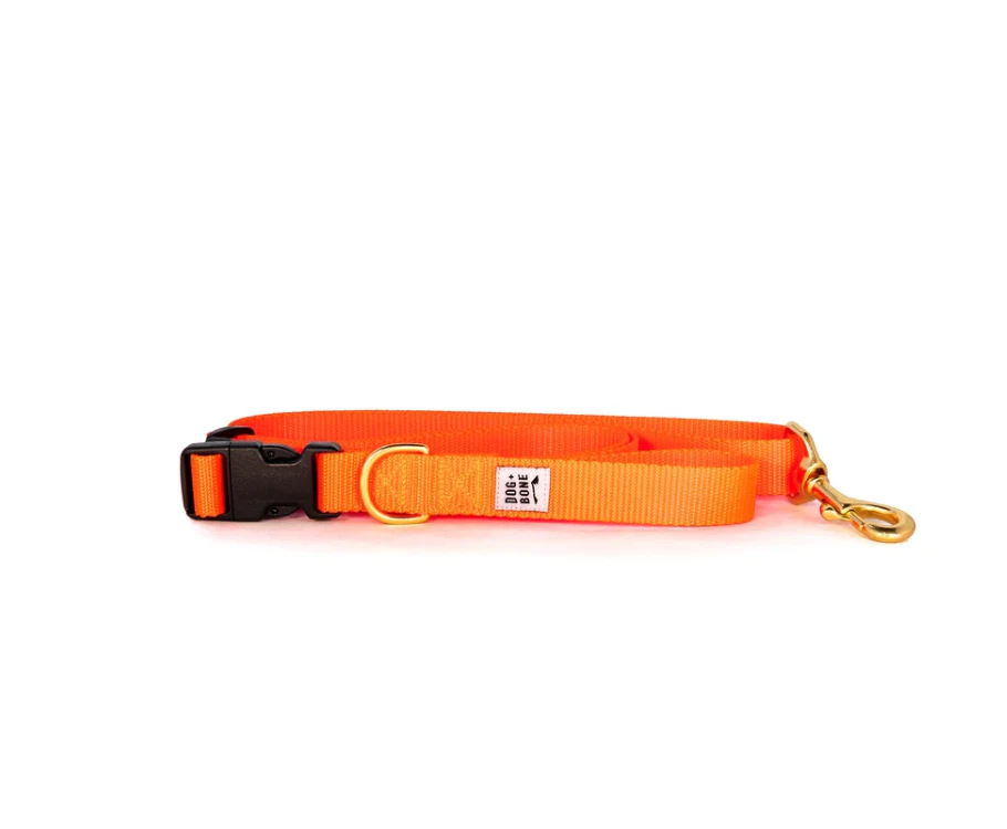 Dog + Bone Adjustable Leash - Image 8