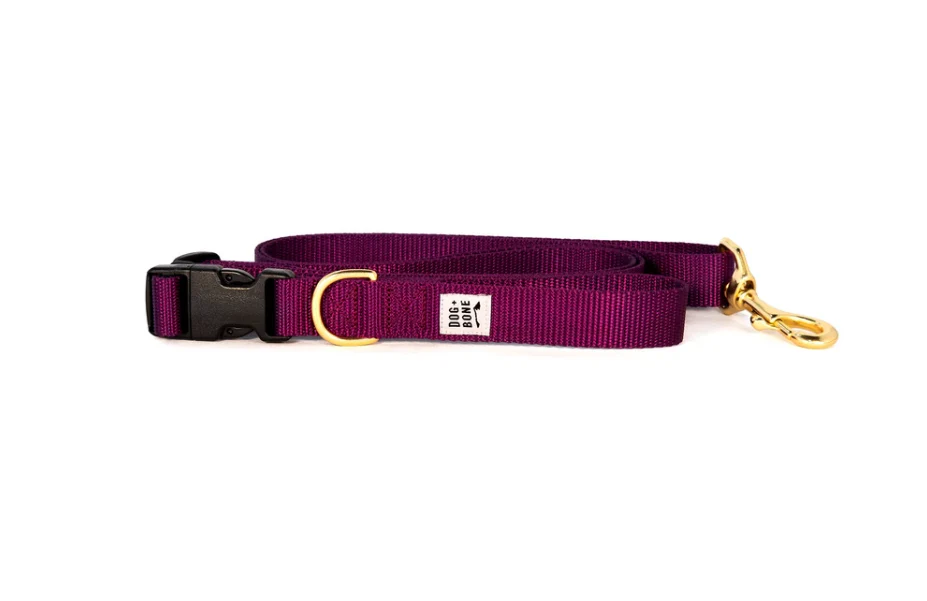 Dog + Bone Adjustable Leash - Image 9