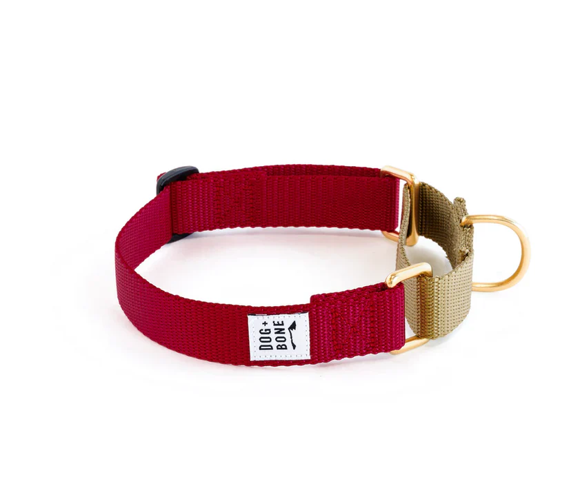 Dog + Bone Martingale Collar - Image 15