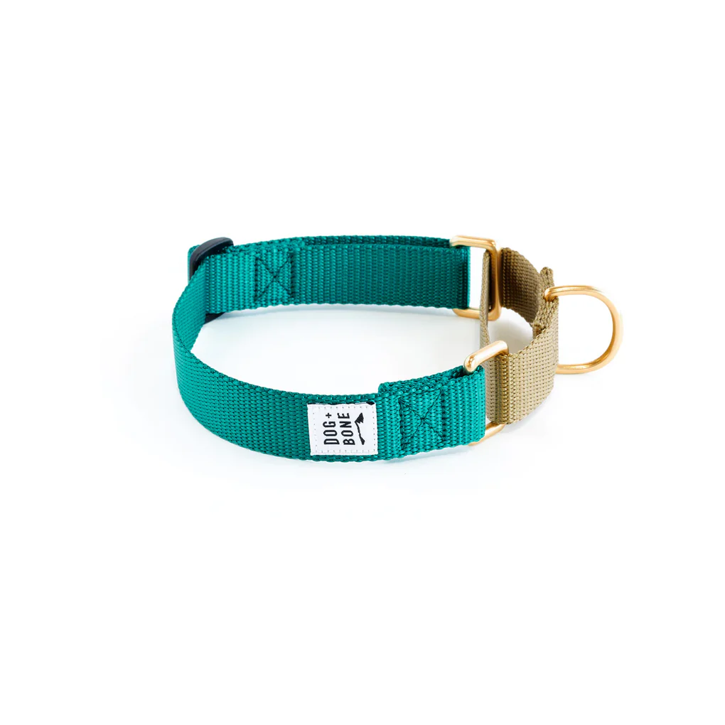 Dog + Bone Martingale Collar - Image 16