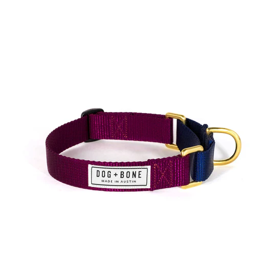 Dog + Bone Martingale Collar - Image 25