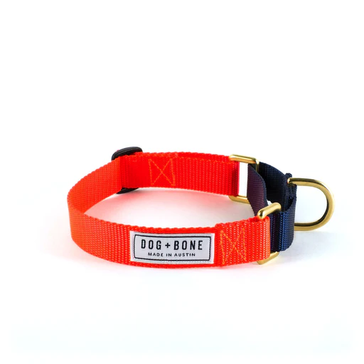 Dog + Bone Martingale Collar - Image 29