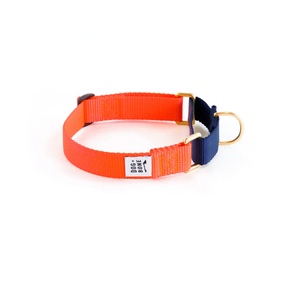 Dog + Bone Martingale Collar - Image 3