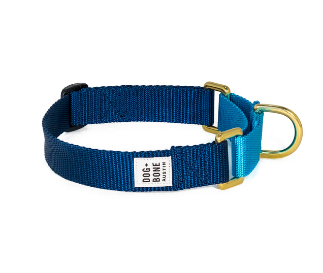Dog + Bone Martingale Collar - Image 32