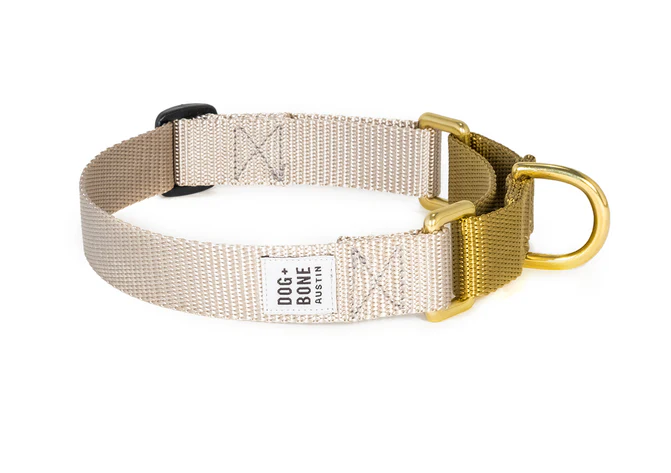 Dog + Bone Martingale Collar - Image 37