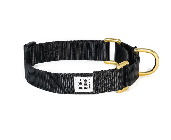 Dog + Bone Martingale Collar - Image 39
