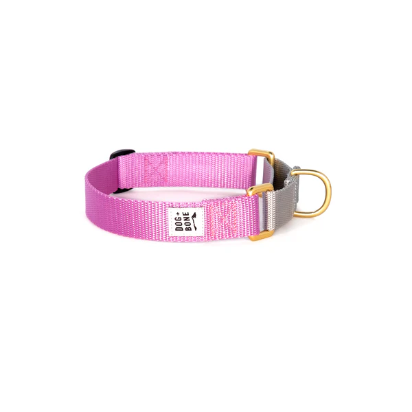 Dog + Bone Martingale Collar - Image 44