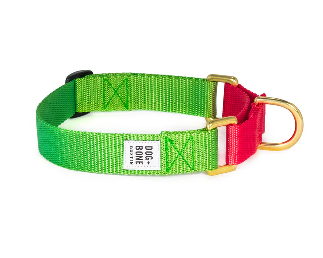Dog + Bone Martingale Collar - Image 47